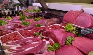 A rischio la sopravvivenza degli allevamenti della Razza Piemontese: 