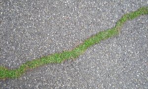 Consumo di suolo, il Piemonte al quarto posto tra le regioni