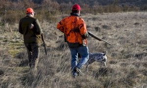 Parte la raccolta firme per il referendum sull’abolizione della caccia