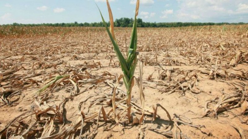 Da Confagricoltura un appello alla Regione Piemonte per scongiurare la siccità