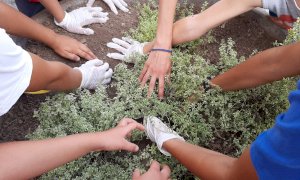 Cuneo, nel quartiere San Paolo si inaugurano le 