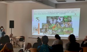 Si è svolto a Ostana il IX workshop nazionale dell’Italian Butterfly Monitoring Scheme