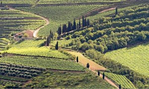Coldiretti Piemonte, Ferragosto: 
