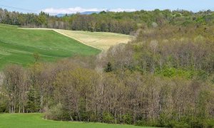 Riserva del Belbo: si inaugura il percorso “Di albero in albero”