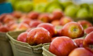 Frutta e innovazione: la provincia di Cuneo si ritaglia un ruolo centrale