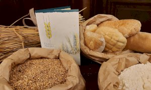 Coldiretti, Grano Piemonte: al via il secondo anno di semine