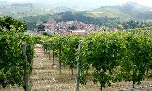 Vino, definite le rese a ettaro e le riserve vendemmiali per il 2021