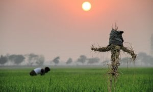 Agricoltura, sono stranieri 8500 degli oltre 12mila braccianti nella Granda