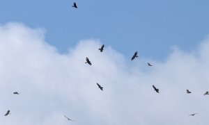 Nel trentesimo anniversario del progetto Migrans è online il nuovo numero di 