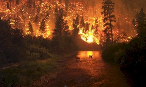 Incendi, il dossier Uncem sul tavolo del governo: “Ecco come salvare i nostri boschi”