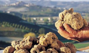 Il 14 settembre la presentazione della Fiera Internazionale del Tartufo Bianco d'Alba