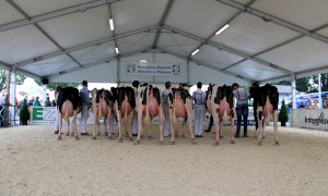 Dal 4 al 6 settembre a Saluzzo la Mostra Regionale della Frisona