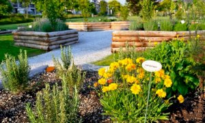 Tre sabati pomeriggio di incontri nel Giardino dell’Infinito di Busca