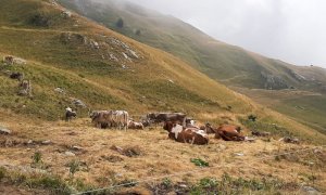 Prosegue il periodo di siccità: situazione critica per agricoltura e alpeggi cuneesi