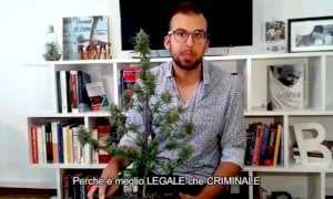 Coltiva in casa una pianta di cannabis per disobbedienza civile, denunciato il segretario dei Radicali Cuneesi