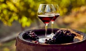 Vino, Coldiretti Cuneo: 