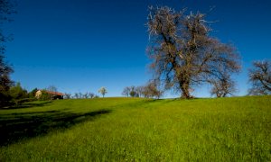 Sentieri collinari: il Gal finanzia il progetto di Busca presentato con Costigliole, Rossana e Villar