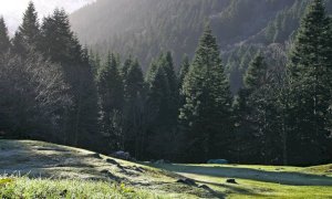 Valle Pesio, studenti di Scienze Forestali al Pian del Creus per installare un pannello sulla lotta partigiana