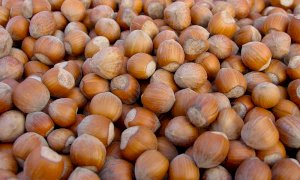 La nocciola delle Langhe tra le eccellenze italiane al G20 dell'agricoltura di Firenze