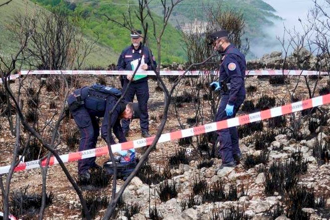Brucia delle sterpaglie, ma l'incendio si propaga in un bosco: ora rischia fino a 5 anni di carcere