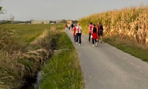 Cinque passeggiate naturalistiche con la guida di un esperto rivolte alle persone anziane