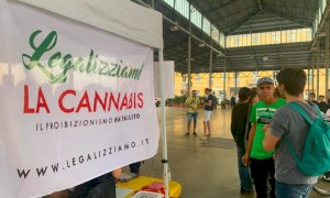 Referendum cannabis, anche Savigliano e Limone tra i comuni che non mandano i certificati di chi ha firmato