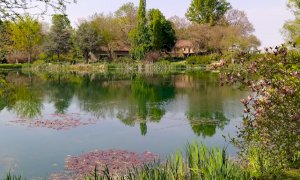 La bellezza del vivere in giardino raccontata in un libro