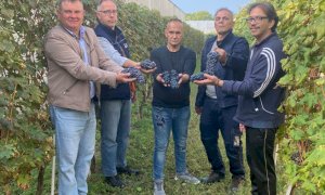 Alba: conclusa la vendemmia all’interno del carcere “G. Montalto”