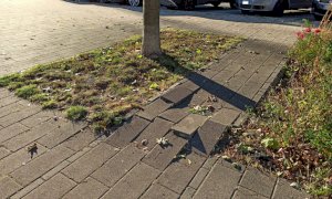 Borgo San Dalmazzo, Fantino torna all'attacco: 