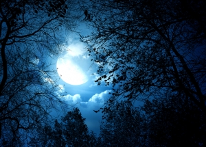 La notte della luna piena