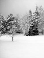 Storie di Occitania sulle ciaspole