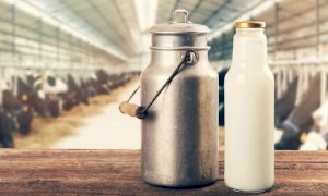 Latte, Coldiretti Cuneo: 