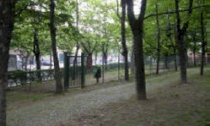 Cuneo, 