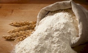 Coldiretti Cuneo spiega l'importanza della farina a km zero nella nostra dieta