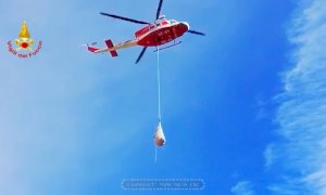 Lo spettacolare intervento dei vigili del fuoco per mettere in salvo una mucca ferita (VIDEO)