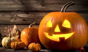 Il 31 ottobre si festeggia Halloween al Museo Civico di Alba