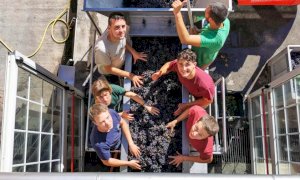 Alba, venerdì 29 ottobre la Scuola enologica e il Comune celebrano la fine della vendemmia