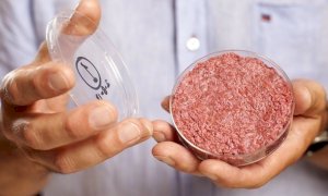 Carne in provetta, Coldiretti Cuneo: 
