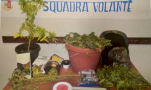 In casa aveva quasi due chili di marijuana, giovane residente a Cuneo agli arresti domiciliari