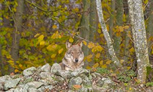 Tre giorni per visitare 