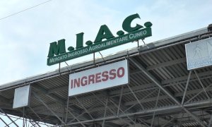 Al MIAC dei Ronchi torna il mercatino dei piccoli animali