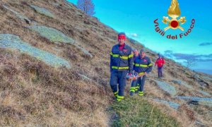 Border collie in difficoltà recuperato dai Vigili del Fuoco a Ostana