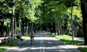 Grazie a piste ciclabili e alberi Cuneo si conferma una delle città più green d'Italia, ma quante auto!