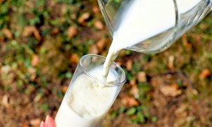 Confagricoltura Piemonte: “Bene l’accordo sul prezzo del latte, ora lavoriamo per le nostre specialità”