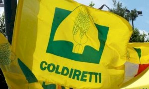 Finanziaria, Coldiretti Cuneo: 
