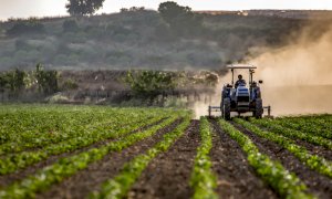 Agricoltura, per il miglioramento delle aziende dalla Regione altri 6,6 milioni sul bando 2020