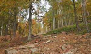 A tre anni dalla tempesta 