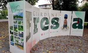 Cuneo, un albero ai Giardini Fresia per celebrare la Giornata Nazionale degli Alberi