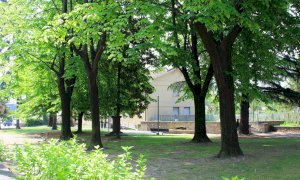 La Città di Alba celebra la Giornata nazionale degli alberi con gli studenti delle scuole