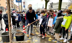 Saluzzo, per la Festa degli Alberi 2021 piantati tre nuovi aceri
